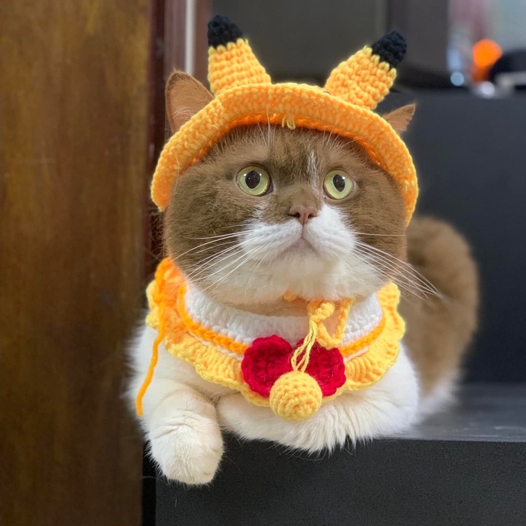 Mũ len cho chó mèo cosplay pikachu vàng dễ thương