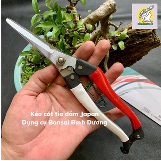 Combo kéo dăm, kéo cành, cưa gấp chính hàng japan