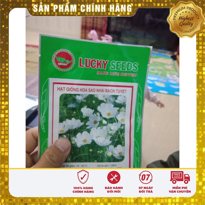 Hạt giống hoa sao nhái bạch tuyết LUCKY SEEDS