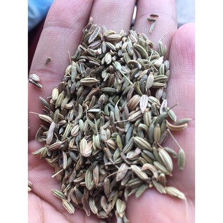 Tiểu Hồi (Hạt Tiểu Hồi Hương) gói 100g