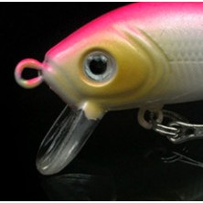 Bộ 5 con Mồi lure Luya Mino rock 5cm 3.7g siêu nhạy