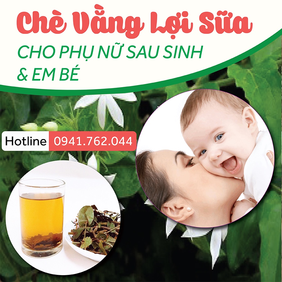 Chè vằng lợi sữa - Chè vằng sẻ