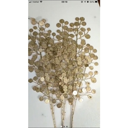 Cành tiền vàng, đồng tiền may mắn trang trí oản decor siêu xinh, hàng đẹp và có sẵn