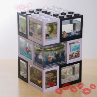 Bể Cá Mini Siêu Bền Độc Đáo