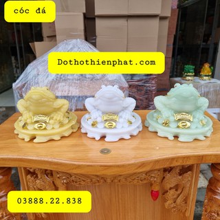 Cóc Đá Ngậm Tiền Phong Thủy loại 1