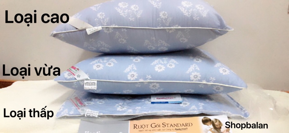 1 Đôi  ruột gối bông cao cấp hàng thương hiệu.