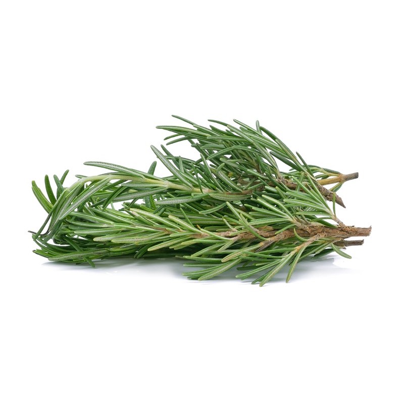 Rosemary - Hương Thảo Tươi Cắt Cành (1KG) - Có Sấy Khô