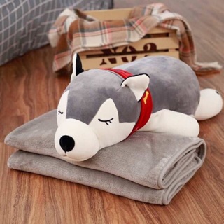 Bộ chăn gối gấu bông Husky 3 trong 1