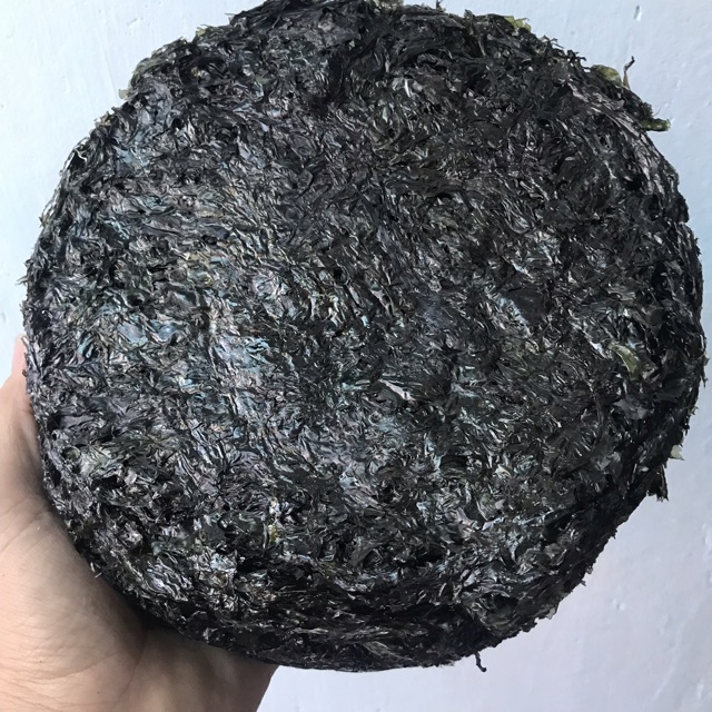 {5 Gói - Mỗi gói 100gr} Rong mứt nấu canh hoặc làm Rong biển cháy tỏi [500gr] | BigBuy360 - bigbuy360.vn