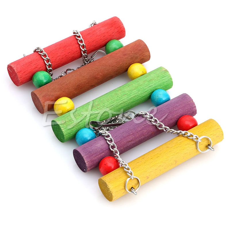 Xích Đu Đồ Chơi Nhiều Màu Sắc Cho Vẹt