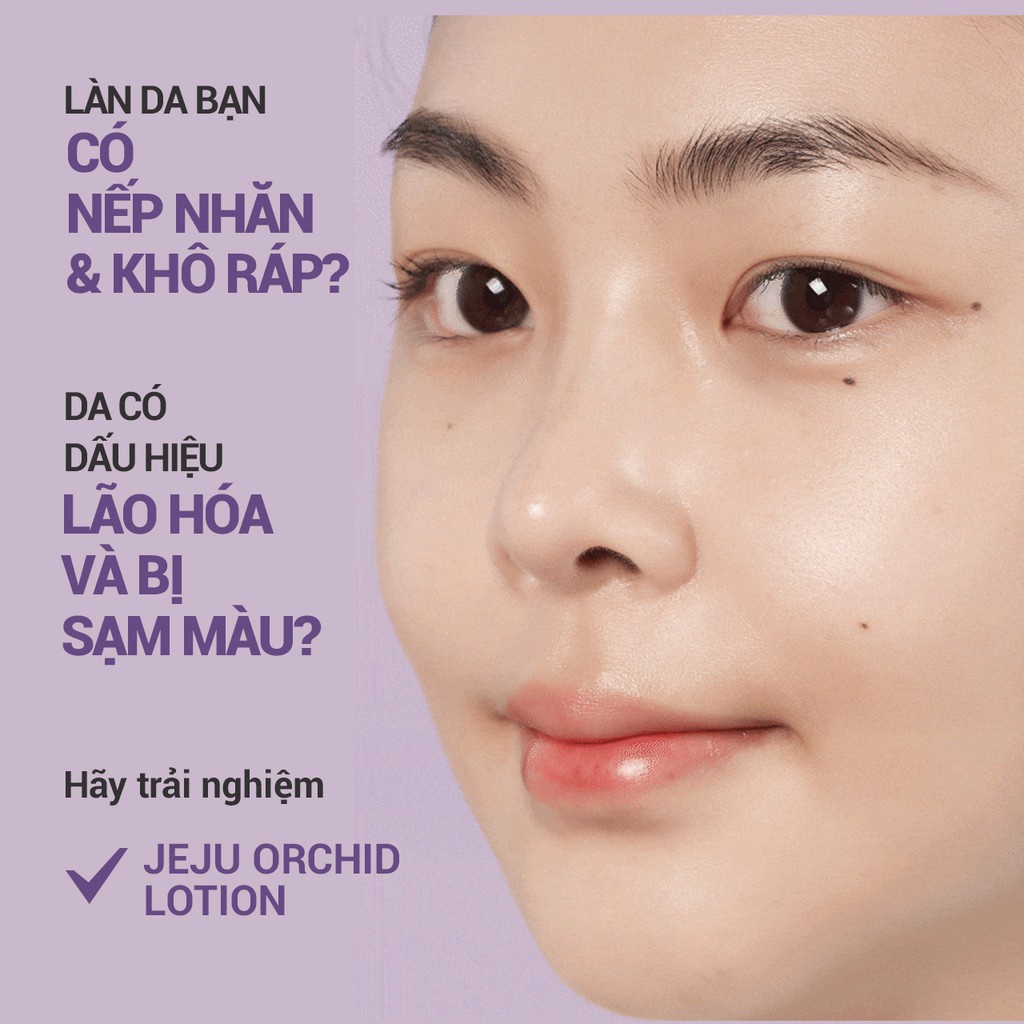 [Mã COSIF05 giảm 10% đơn 400K] Sữa dưỡng chống lão hóa hoa lan tím innisfree Jeju Orchid Lotion 160ml