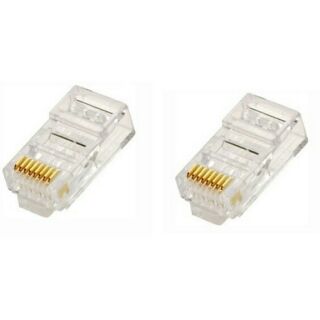 Đầu mạng rj45 100 cái