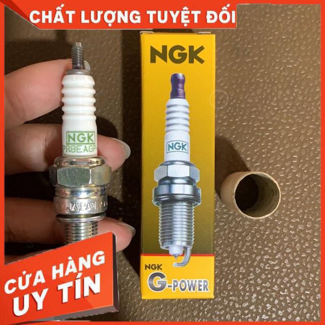 Bugi bạch kim NGK chân dài