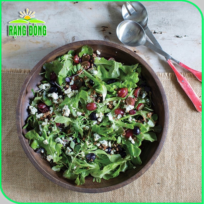 Hạt giống Xà Lách Sồi Xanh (Xà lách Oakleaf) sinh trưởng khỏe, trồng quanh năm (gói 2 gr) - Hạt giống Rạng Đông