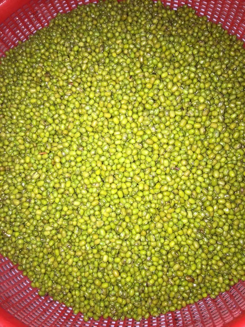 ĐẬU XANH SẼ HẠT NHỎ, ĐẬU XANH MỠ | BigBuy360 - bigbuy360.vn