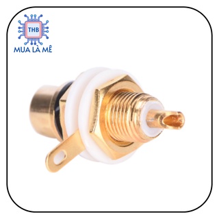 Jack RCA Jack nối hoa sen