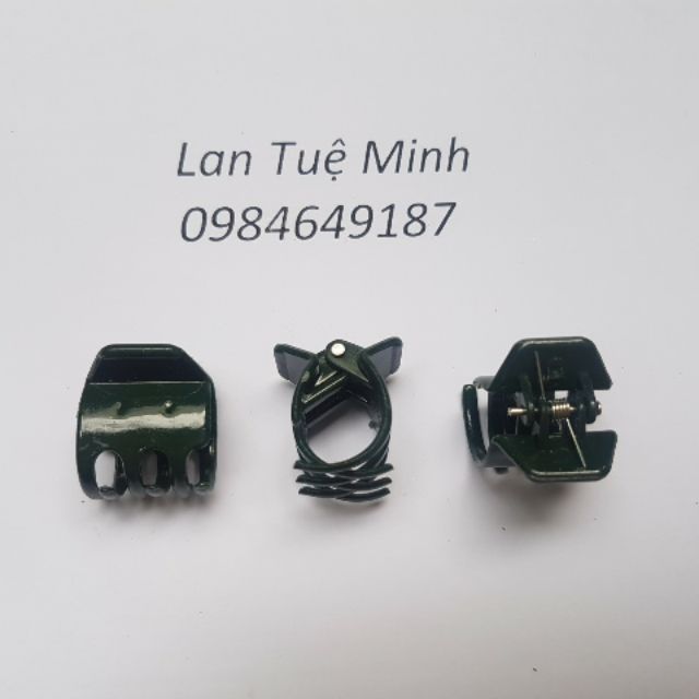 Combo 100 kẹp bướm đại màu xanh chuyên cố định cành hoa lan thân to