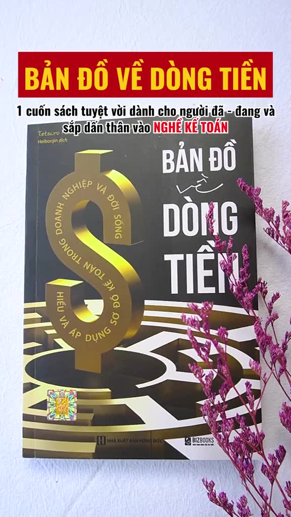 Sách Bizbooks - Bản đồ về dòng tiền: Hiểu và áp dụng sơ đồ kế toán trong doanh nghiệp và đời sống | BigBuy360 - bigbuy360.vn