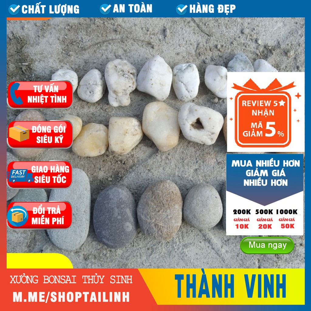 Đá cuội trang trí bể cá bể thủy sinh