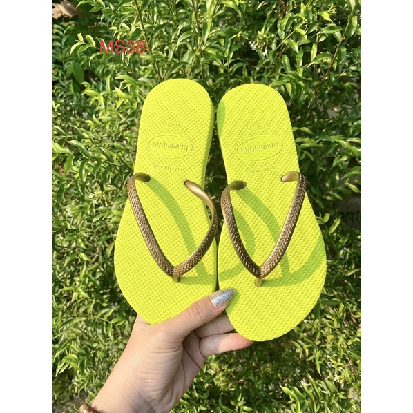 Hava quai ngắn màu nổi 79k