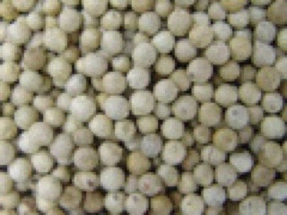 Tiêu sọ trắng