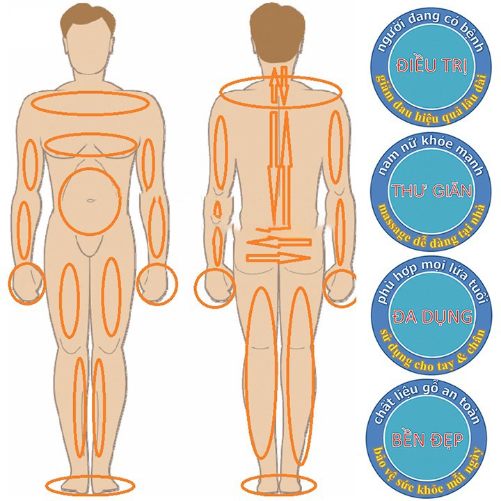 Cây đấm lưng và gãi lưng đa năng bằng gỗ bách xanh MG1, Dụng cụ massage toàn thân hiệu quả | Mỹ nghệ phương chi