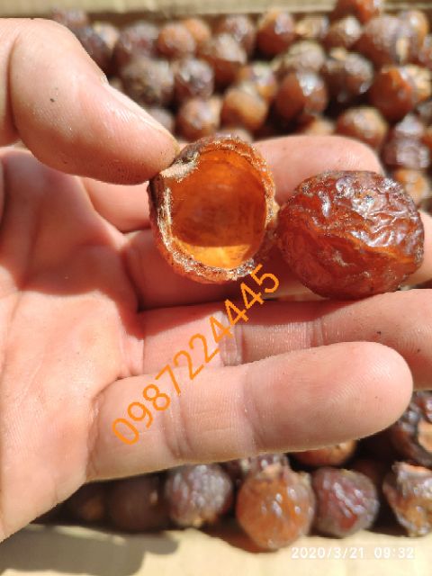 3,5KG BỒ HÒN TÁCH HẠT LOẠI 1 TẶNG 200g BỘT BỒ HÒN