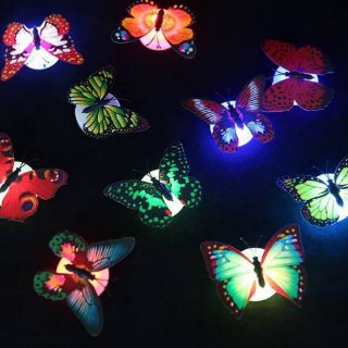 Combo 5 đèn led bướm 3d phát sáng
