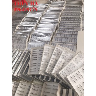 Mi tập nối 10 cặp