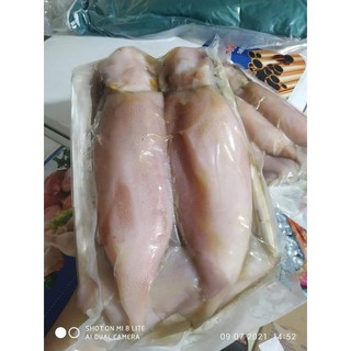 MỰC ỐNG SIZE TO 2-3 CON 1 KG