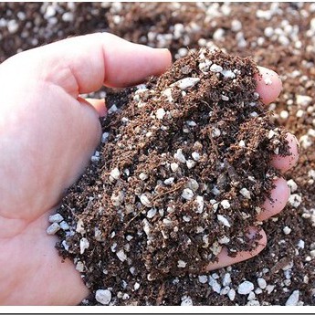 1 kg Đất Trồng Sen Đá, Xương Rồng Giàu Dinh Dưỡng