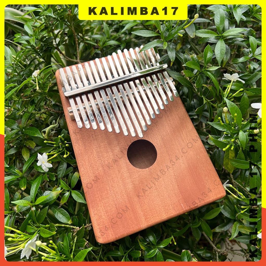 Đàn Kalimba 17 Phím Hợp Cộng Hưởng Cơ Bản Cho Người Mới Bắt Đầu