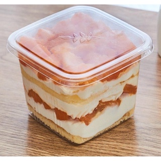Hộp nhựa vuông đựng bánh mousse / tiramisu B108