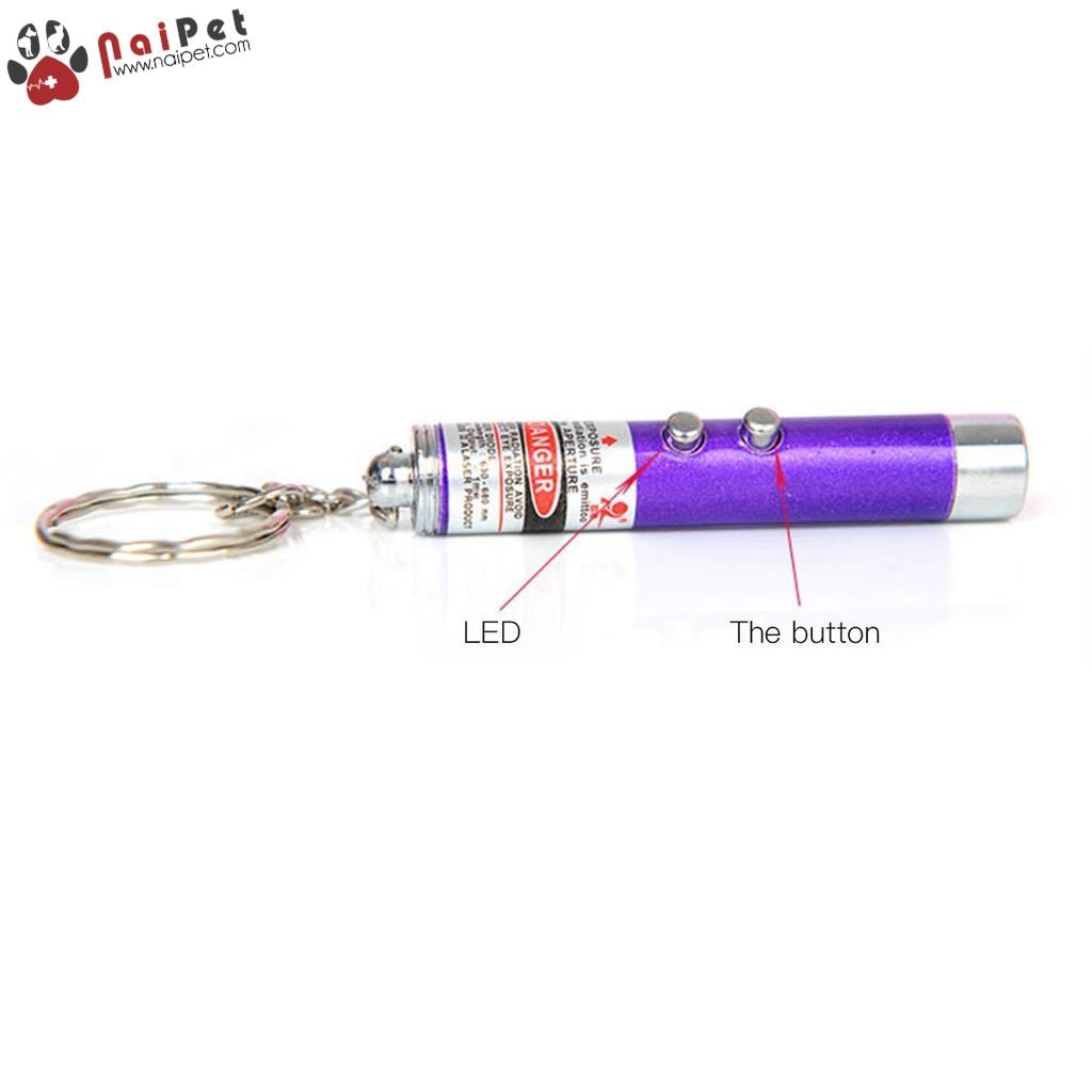 Đồ Chơi Đèn Laser Đùa Giỡn Chó Mèo Super Bright Led Laser Pointer