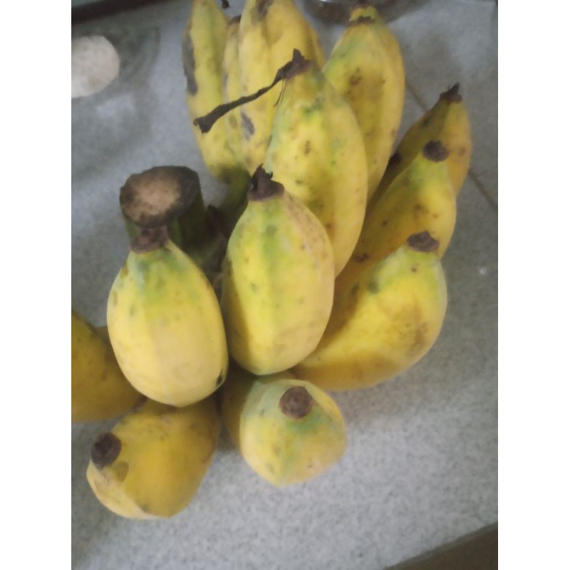 Chuối già xanh/chuối xiêm