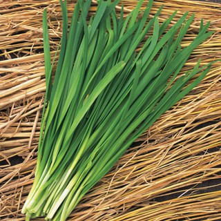 1g Hạt giống Hẹ