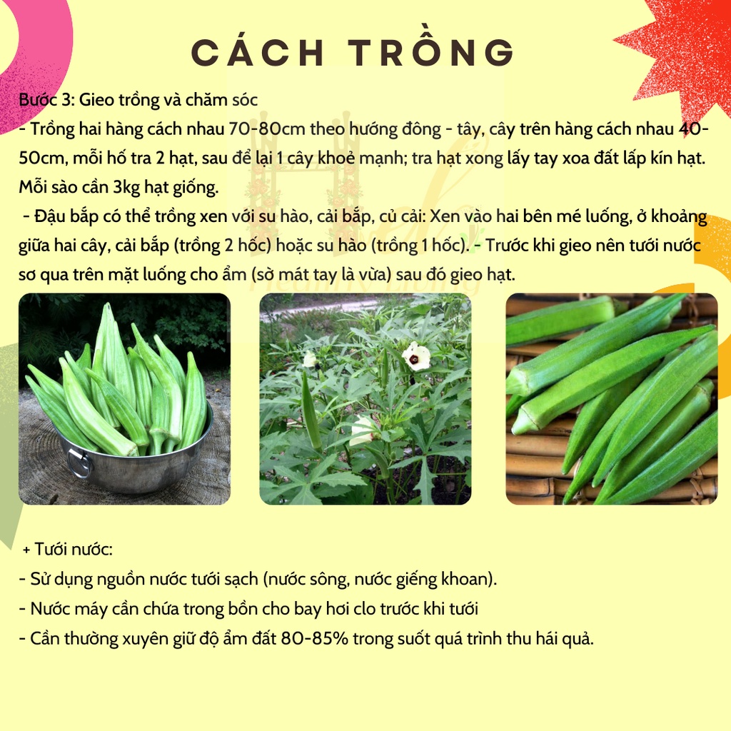 Hạt Giống Đậu Bắp Cao Sản Siêu Trái Năng Suất Cao - Trồng Hạt Giống Rau Củ Quả Bằng Đất Sạch, Xơ Dừa, Mùn Dừa, Phân Bón