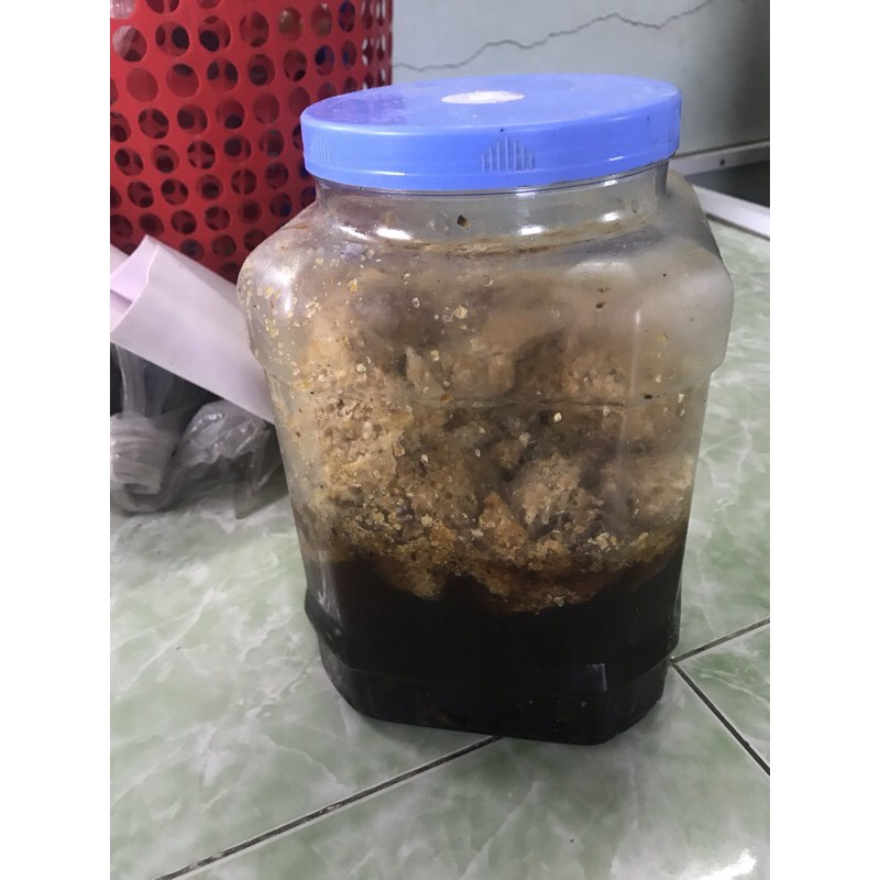 MẬT ONG RỪNG BẢN MÈO NGUYÊN CHẤT - TỰ NHIÊN 100%
