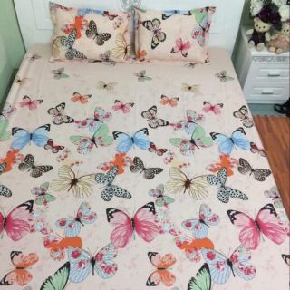 Bộ ga gối cotton poly chun m8