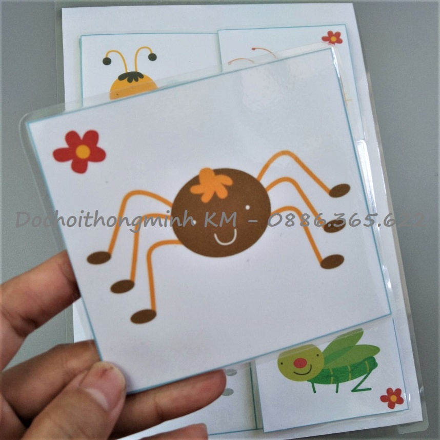 HỌC LIỆU - Matching tìm hình bóng - Tìm bóng côn trùng