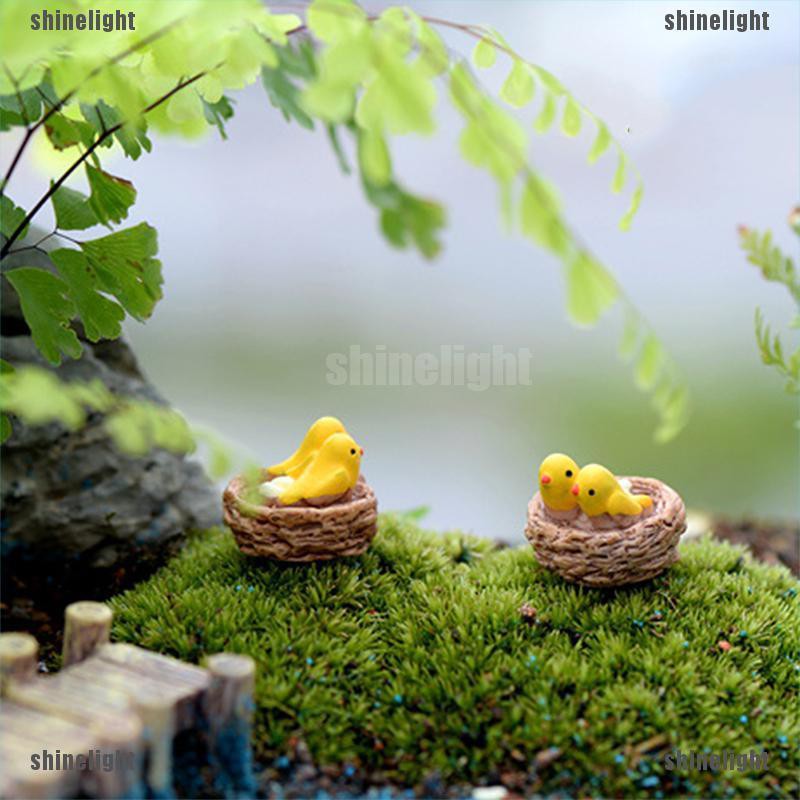 Chim Trang Trí Sân Vườn