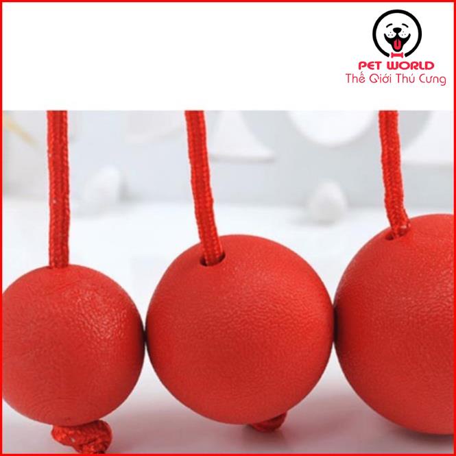 Đồ Chơi Bóng Cao Su Có Dây Huấn Luyện Chó Mèo