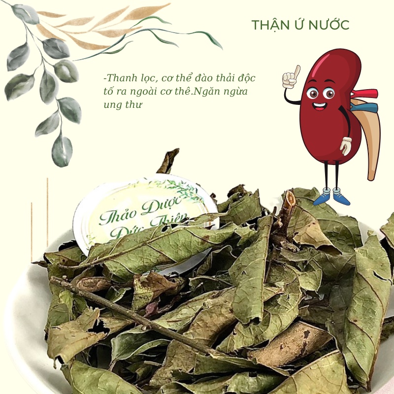 3 Vị Thảo Dược Hỗ Trợ Thận  - Đào Thải Sỏi Thận, Sỏi Mật, Thận Ứ Nước