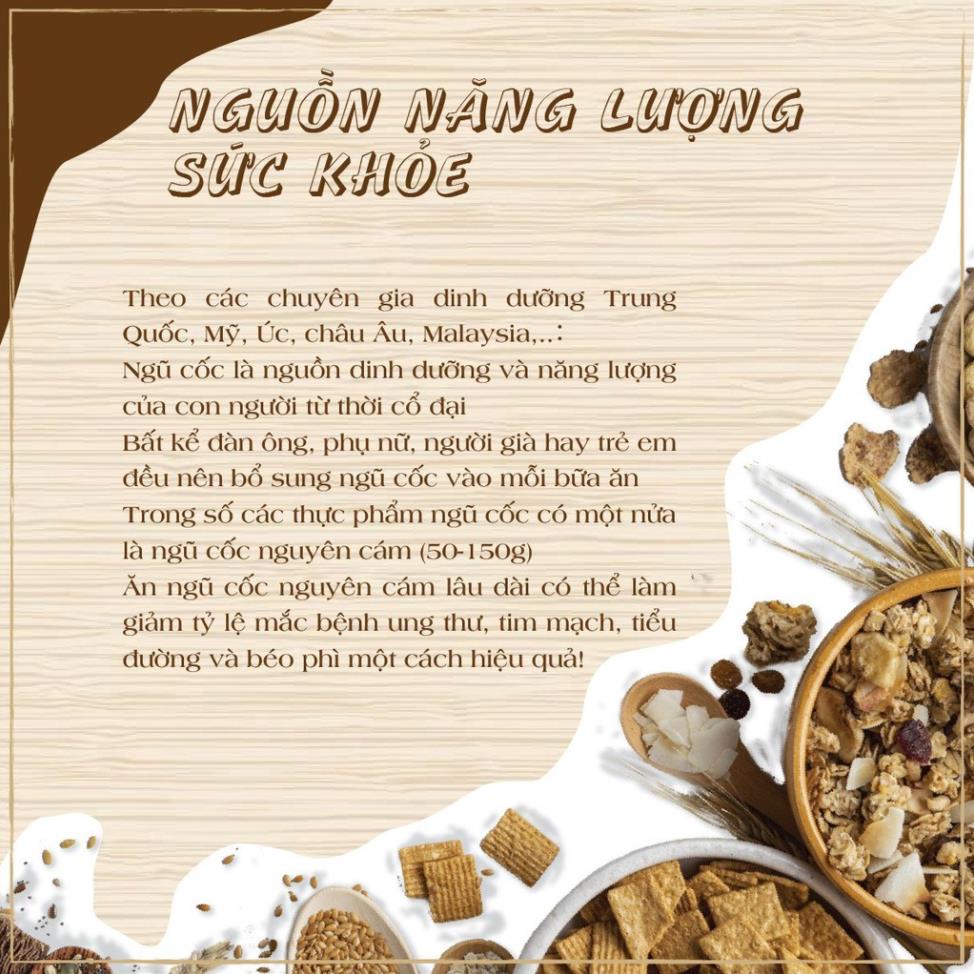 XPOWER SỮA HẠT DINH DƯỠNG