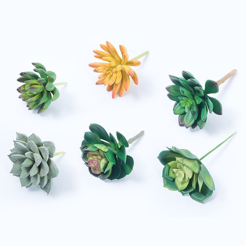 Cây Sen Đá / Xương Rồng Giả Trang Trí Nội Thất sen đá aeonium mini cây giả trang trí nhà cây giả decor