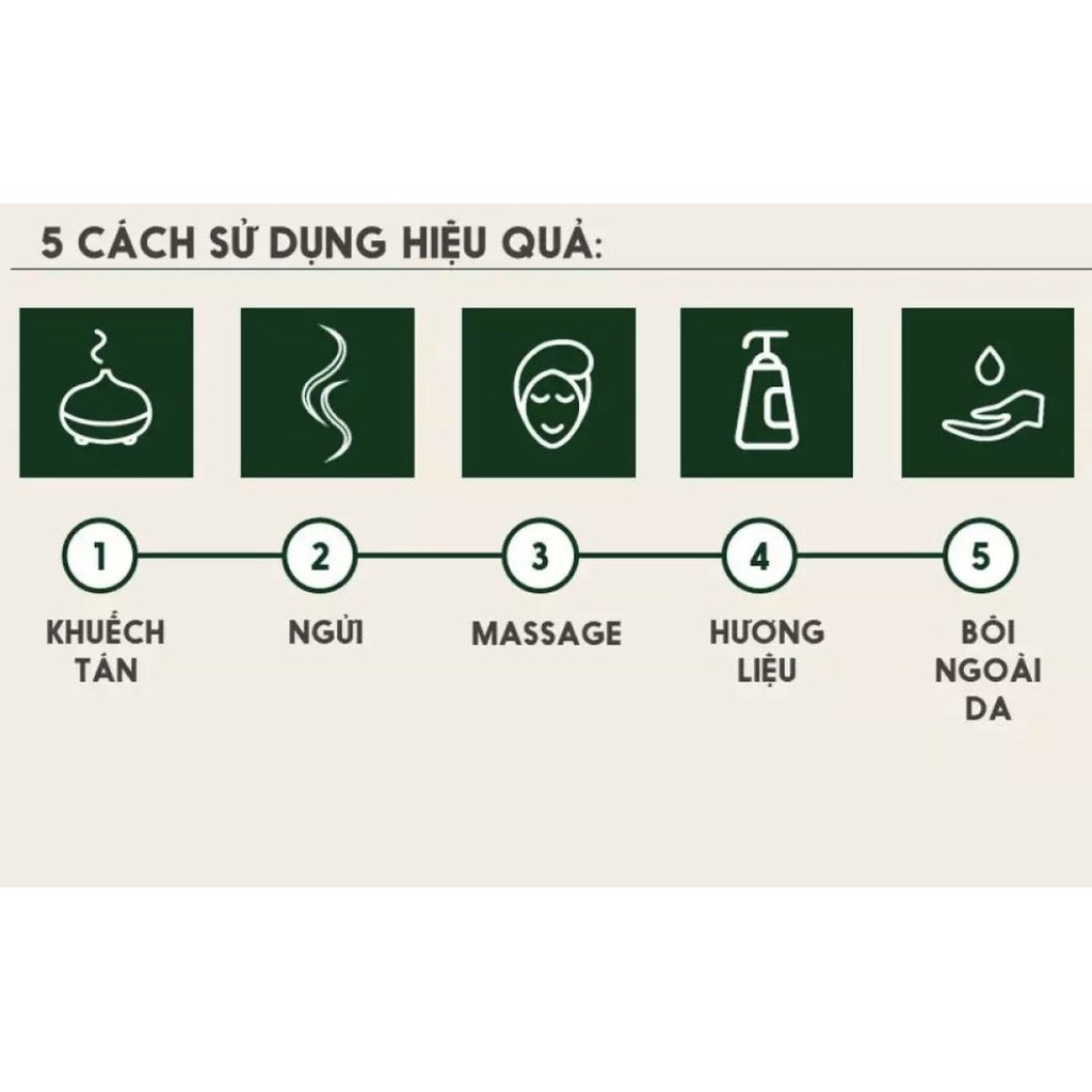 Máy xông tinh dầu Tulip 550ml giúp tạo ẩm thơm phòng đuỗi muỗi máy phun mạnh và bền