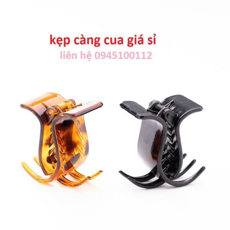 Combo 6 / 12 kẹp càng cua 3 răng màu nâu, đen loại đẹp