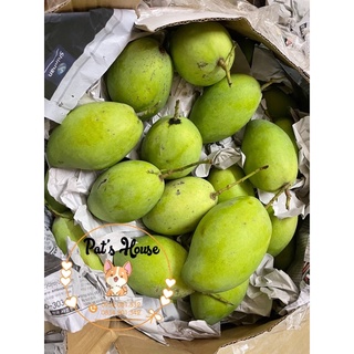 Xoài cát hoà lộc Cao Lãnh