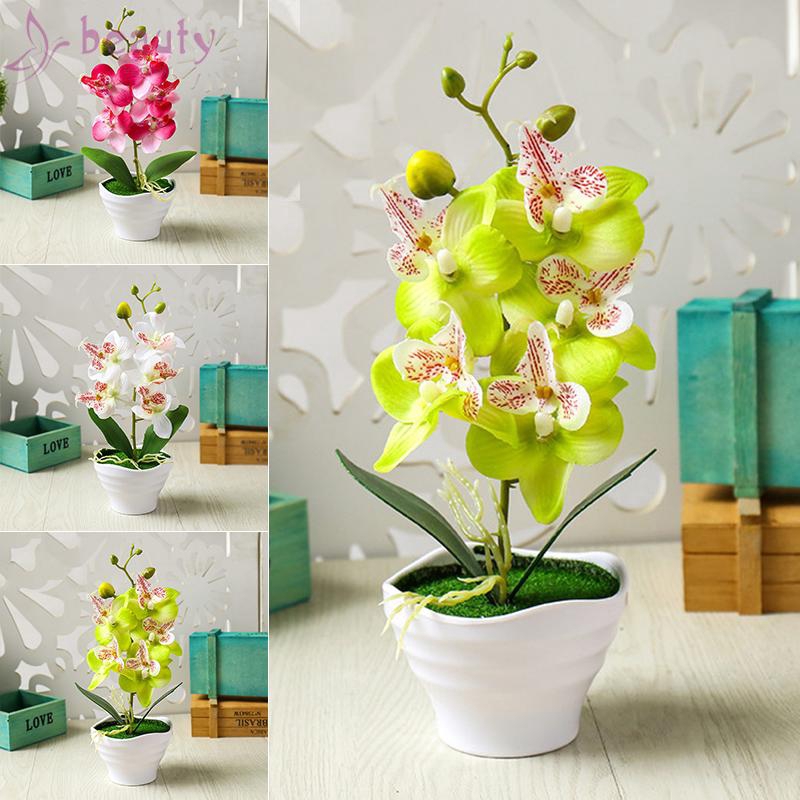 Chậy cây lan hồ điệp bonsai nhân tạo với 5 đầu hoa nhựa trang trí vườn nhà