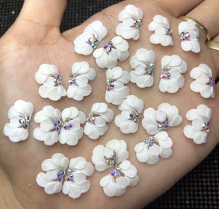 hoa bột nail